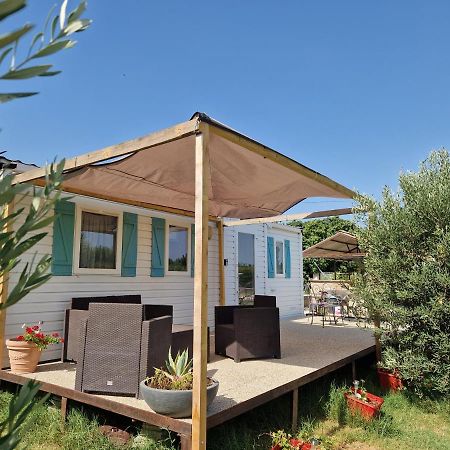 Mazet D El Gato Hotel Arles Eksteriør billede